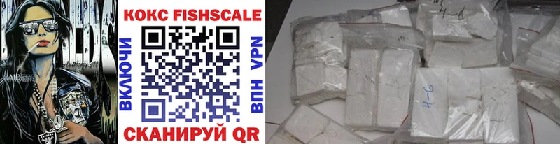 COCAIN Fish Scale  дарнет шоп  Ак-Довурак 