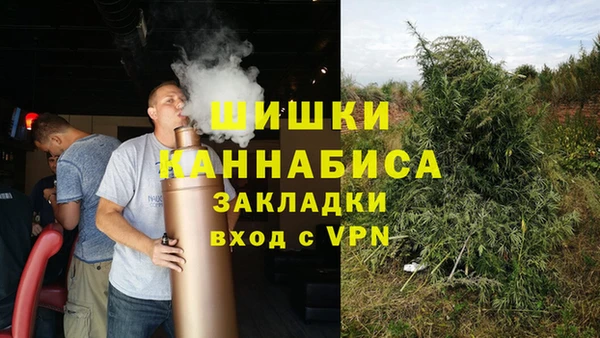 амф Алексин