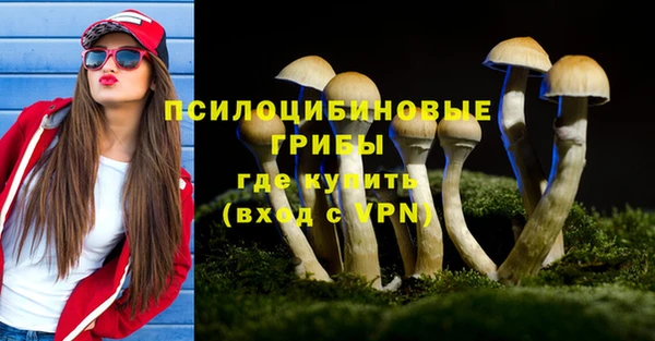 амф Алексин