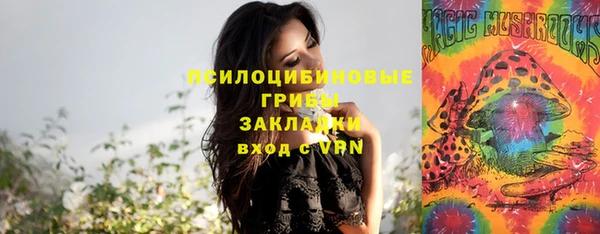 крисы Алексеевка